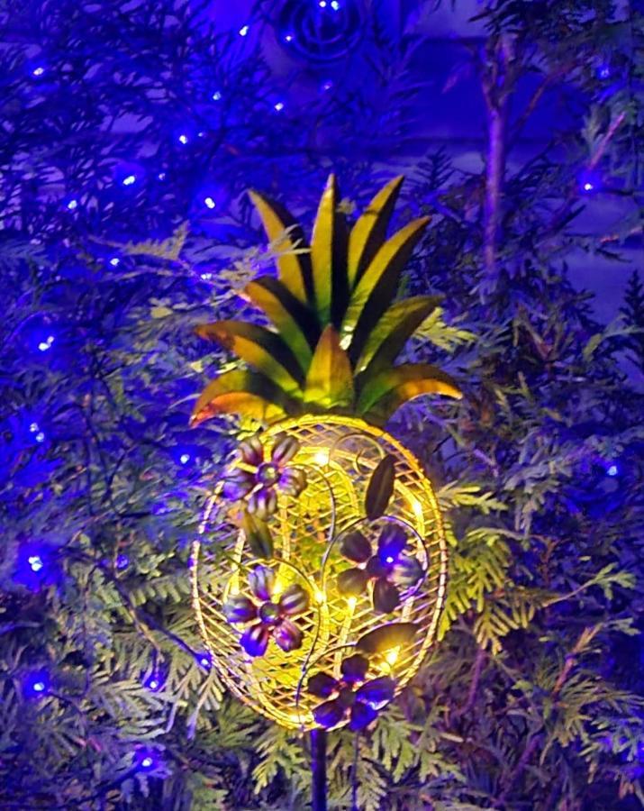 Experience The Serenity Of Pineapple Acre Pocono Stroudsburg Exterior photo